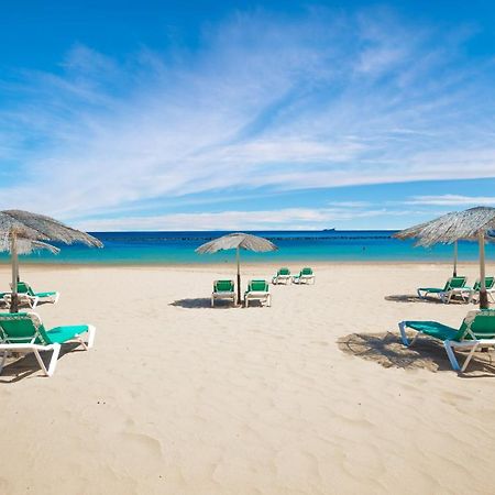 Apto Drago Holidays Apartment Санта Крус де Тенерифе Екстериор снимка